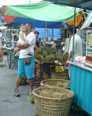 �h���A�������