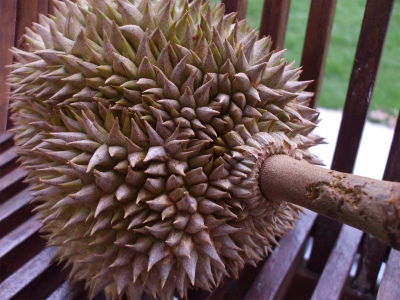 �h���A��