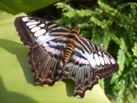 �`���E�`��