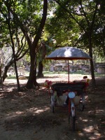 �N���X�`����������n