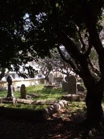 �N���X�`����������n